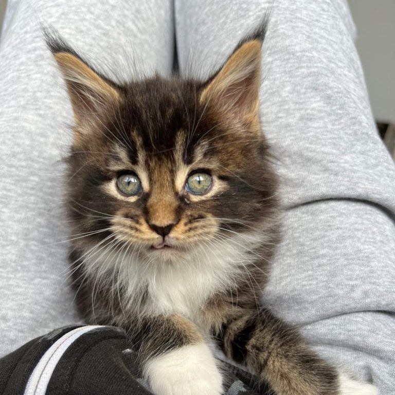 Claude’s little girl, Claudier.